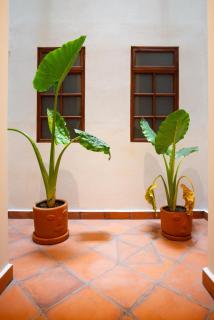 VIP ROOM in Downtown, Best Location, Private WC - Mexiko-Stadt - 4