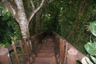 Ndiza Lodge and Cabanas - St Lucia - 4