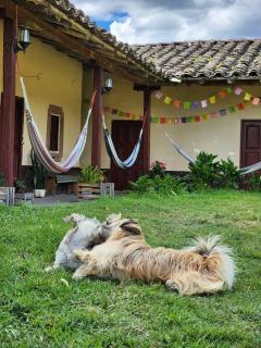 La Casa del Chere - - 6