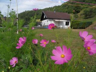 Gîte cosy à La Bresse - Proche sentiers, rivière et piste cyclable, idéal pour randonnées et séjours en famille - FR-1-589-168 - La Bresse - 0