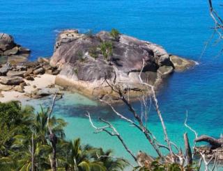 BedarraLux - Bedarra Island - 5