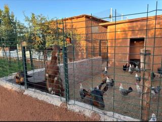 Hamza farm - Marrakesh - 8
