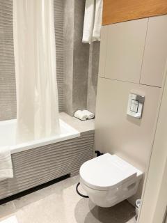 Spacious Apartment in Tashkent City - 4