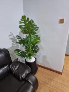 Dhahabu Apartments and Homes - Sansibar-Stadt - 3