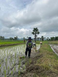 บุญโฮมสเตย์ Boon Homestay - Ban Buak Khang - 9