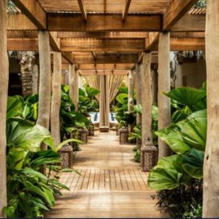 Exclusively Luxury 2BR Vidanta - 5
