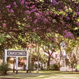 Turismo gyc - Chascomús - 9