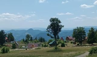 Vila Lenka - Sekulić - 8