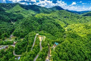 The Refined Raccoon Retreat - Sevierville - 4