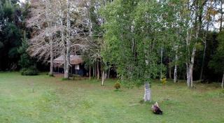 Pichihuape Lodge - Valdivia - 5