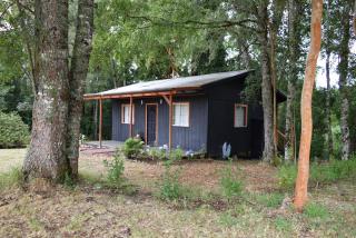 Pichihuape Lodge - 9