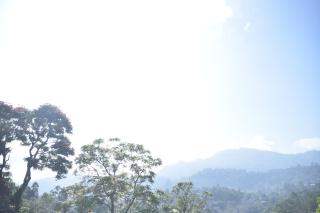 Mountain Top - 7