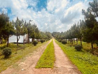 Higg Farm Resort & Glamping - - 5