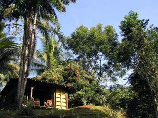 Suital Lodge - Mogos - 6