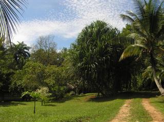 Suital Lodge - Mogos - 8