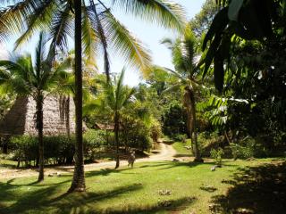 Suital Lodge - Mogos - 7