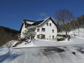 Ferienwohnungen Bäumner - Bad Berleburg - 7