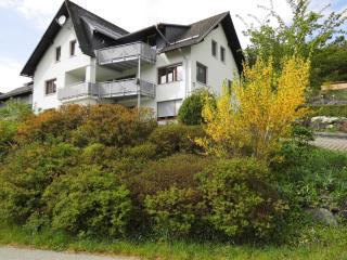 Ferienwohnungen Bäumner - Bad Berleburg - 8