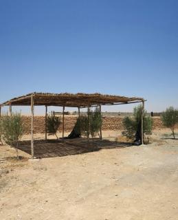 FERME MZODiA - - 4