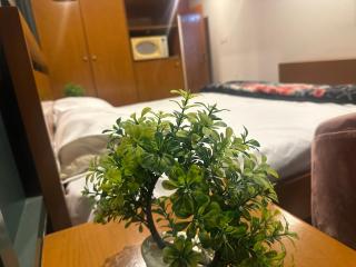 Arcadian luxury Apartment - 7