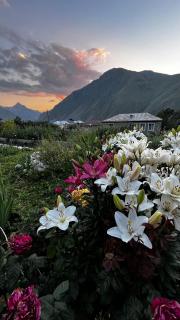 Lia Khaikashvili Guest House - Kazbegi - 9