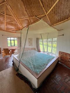 Queen Elizabeth Gorge Cottages - Bushenyi - 8