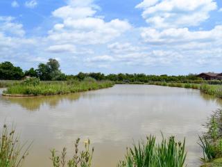 Hawthorn Lodge - Burgh le Marsh - 1