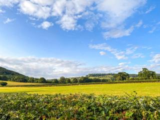 Cuckoo Lodge - Uk42541 - Winforton - 1