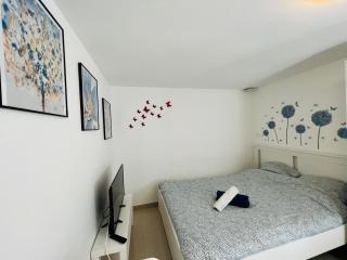 Charmants logements au centre ville de Rosny Sous Bois - 6