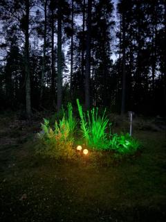 Torp ved Mårbacka (Helt hus til leie) Östra Ämtervik/ Sunne - Östra Ämtervik - 4