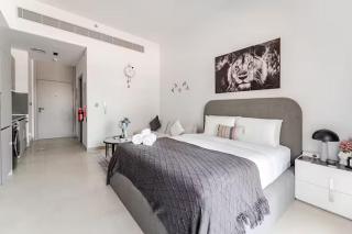 Studio I MAG 980 I Just Opened - 7