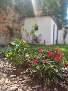 Ampia Camera Luxury in Centro RC - BagnoFrigoBar - 3