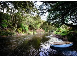 River Ridge - Catlins - - 4