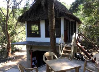Unique Jungle Getaway in Eco-Friendly Cabin near San Francisco, Nayarit, Mexico - San Francisco - 9