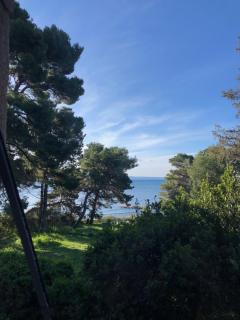 Tinel - 8