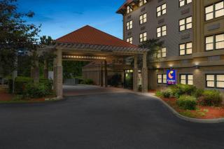 Comfort Suites Near Casinos - Norwich - 1