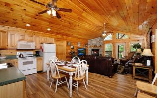 Dogwood Acres - Pigeon Forge - 4