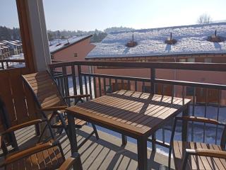apartement lipno nad vltavou pro 4 až 6 osob - Lipno nad Vltavou - 1