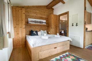 Ski-in-Ski-out Asten Studio by Alpine Host Helpers - 4