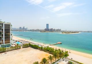 Luxury 1 Bedroom in Azizi Mina - 0