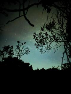 Bosque Encantado Story - 1