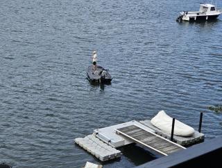 Breathtaking Waterfront Retreat- Studio Apartment - - 4