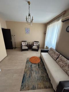 Apartment near Tskaltubo spa restort - Tskaltubo - 8