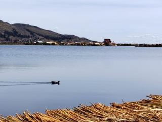 Titicaca Jutma Lodge - Puno - 9