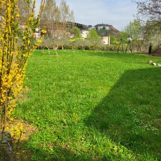 CASITA eL ANTIGUO MOLINO - 4