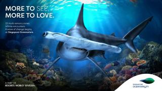 Resorts World Sentosa - Hotel Ora - 4