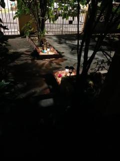 Mahogany Getaway - Herbal Healing US Virgin Islands - - 4