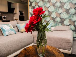 Balance Apartman Debrecen - Debrecen - 6