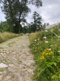 Apartament ,,Na Topolowej,, Ustronie Morskie - Ustronie Morskie - 1