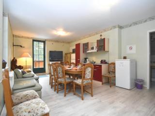 Luxurious Apartment in Jägersgrün with Saunas - Jägersgrün - 7
